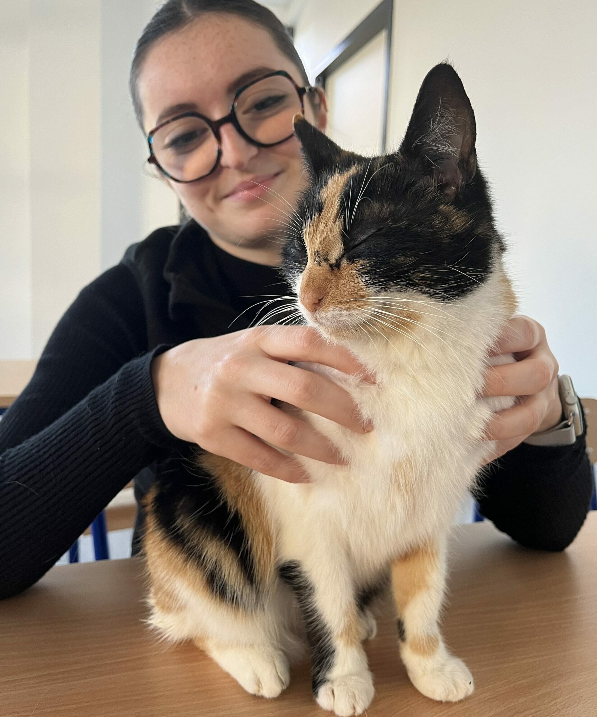 Ostéopathe animalier en Normandie